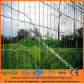 Euro Welded Fence (Powder Coated Protecting Fence)